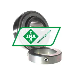 INA GNE80-XL-KRR-B rulman resim 2