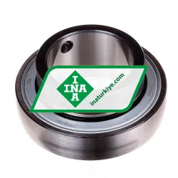 INA GAY60-NPP-B