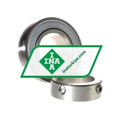 INA GRAE40-NPP-B-FA107 rulman resim 2