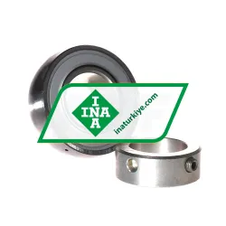 INA GRAE25-NPP-B-FA106 rulman resim 2