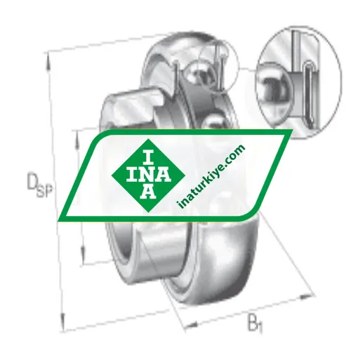 INA GRA100-NPP-B-AS2/V ürün fotoğrafı 4