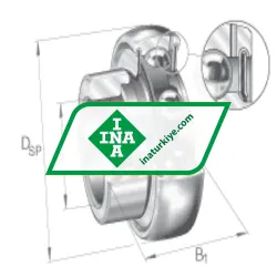 INA GRA100-NPP-B-AS2/V rulman resim 4