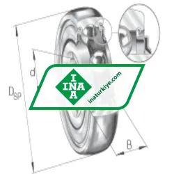 INA SK102-207-KRR-B-AH10 rulman resim 4