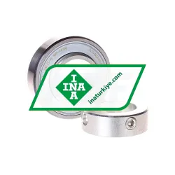 INA RAE35-XL-NPP-FA106 rulman resim 2