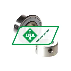 INA RAE17-XL-NPP-FA106 rulman resim 3