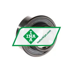 INA AY25-NPP