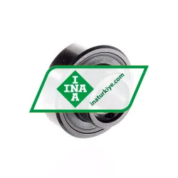 INA AY20-NPP