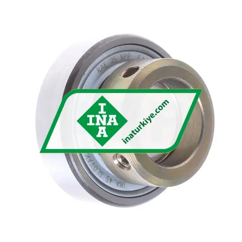 INA RAE25NPP FA106