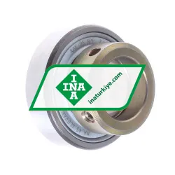 INA RAE25NPP FA106
