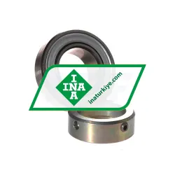 INA RALE25-XL-NPP rulman resim 2