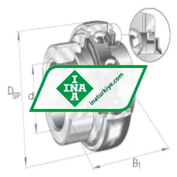 INA GNE100-KRR-B-FA107 rulman resim 2