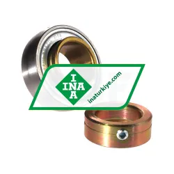 INA GRA100-NPPB-AS2/V