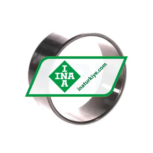INA IR55X60X25-IS1