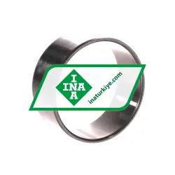 INA IR55X60X25-IS1