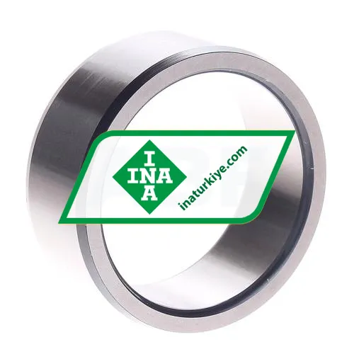 INA IR45X55X22-EGS