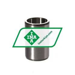 INA IR20X25X38,5-EGS rulman resim 2