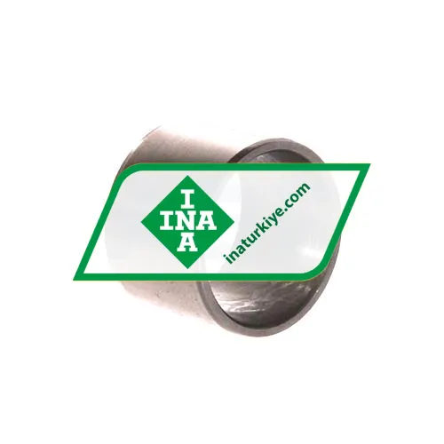 INA IR25X29X20