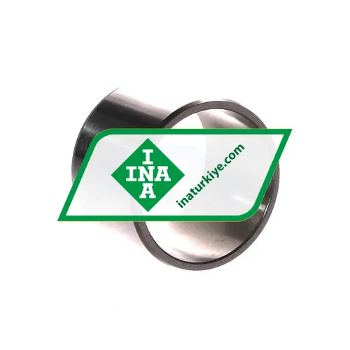 INA IR38X43X30-XL