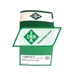 INA IR12X15X12,5-EGS rulman resim 2