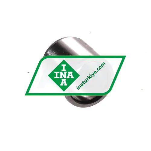 INA IR10X13X12,5-XL