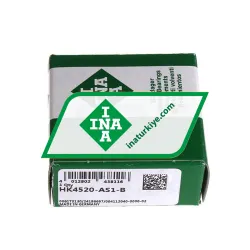 INA HK4520-AS1-B rulman resim 2