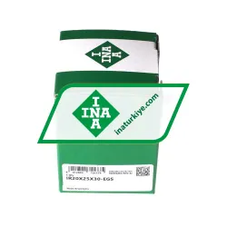 INA IR20X25X30-EGS rulman resim 2