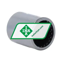 INA BK2538-ZW-A rulman resim 4