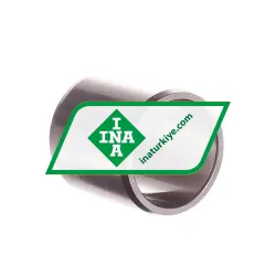 INA IR25X30X30-EGS