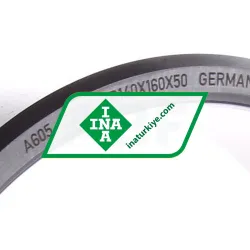 INA IR140X160X50-EGS rulman resim 2