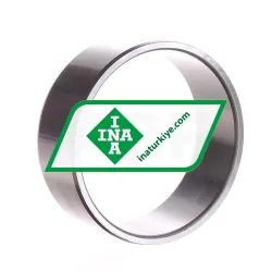 INA IR90X100X36-EGS