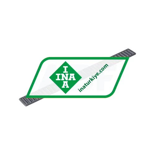 INA BF3020X225-4-6