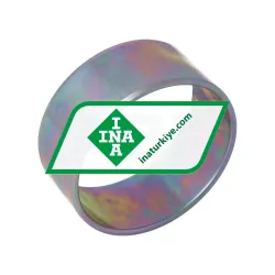INA IR55X60X25-RR-XL