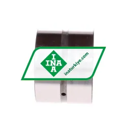 INA RNAO40X55X40 rulman resim 2