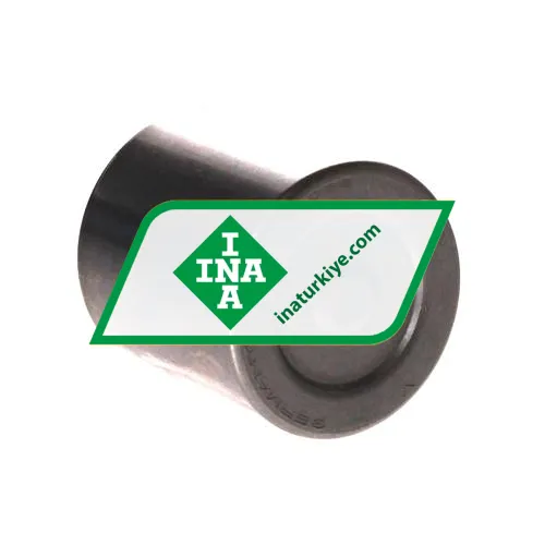 INA BK3038-ZW