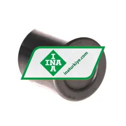 INA BK3038-ZW