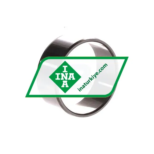 INA IR45X50X20,5-EGS