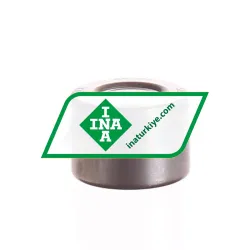 INA BK1010