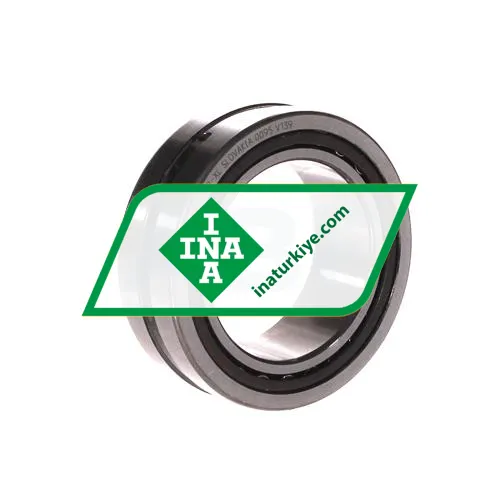 INA NA4909-XL