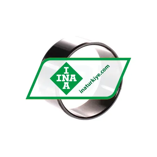 INA IR50X55X25-EGS