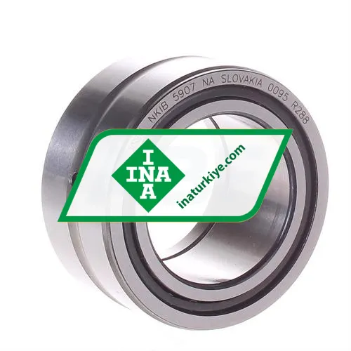 INA NKIB5907