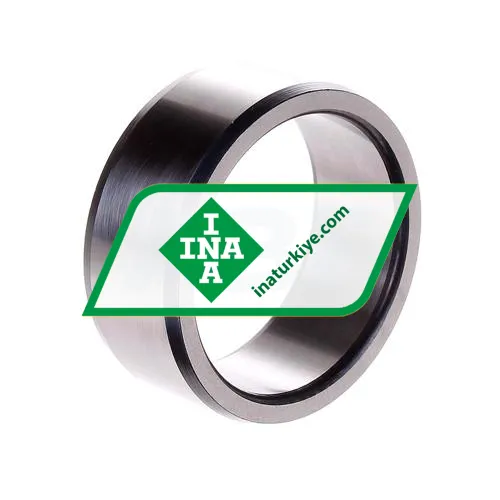 INA IR45X55X22