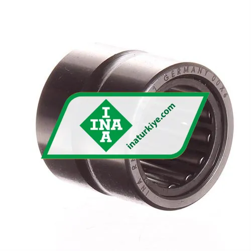 INA RNA6901