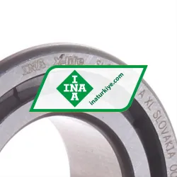 INA SL183006-A-XL rulman resim 2