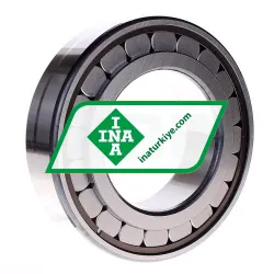 INA SL182219-A rulman resim 2