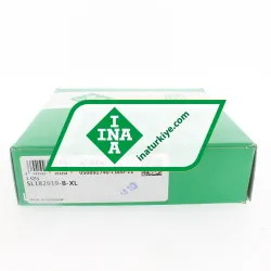 INA SL182919-B-XL rulman resim 5