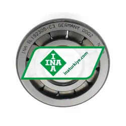 INA SL192305-C3 rulman resim 3