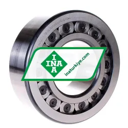 INA SL192318-TB-XL rulman resim 2