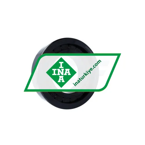 INA SL182230-A-BR-C3