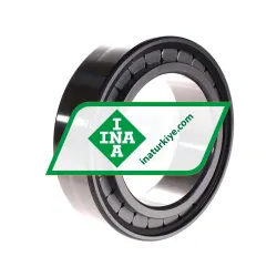 INA SL183018-A rulman resim 2