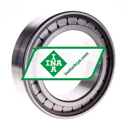 INA SL183018-A-C3 rulman resim 2
